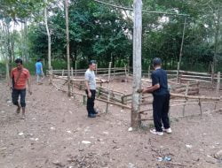 Personel Polsek Bonto Tiro Bongkar Arena Judi Sabung Ayam di Desa Tamalanrea