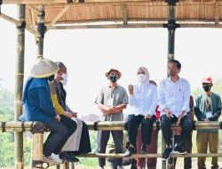 Presiden Jokowi Ingatkan Petani Rawat Kelapa Genjah